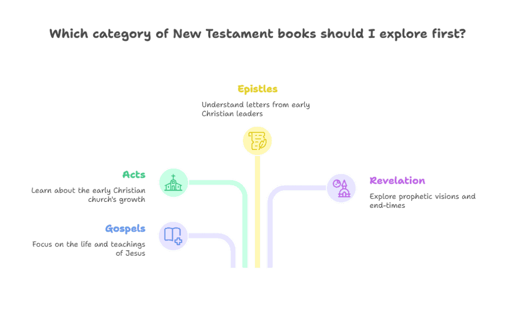 category of New Testament books